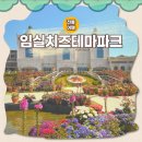 임실엔(N)치즈피자산본점 | 임실치즈테마파크 아이와 전북 여행 피자 체험 대만족