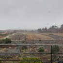 거문오름 오디하우스 이미지