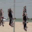 토방토방 황토민박 이미지