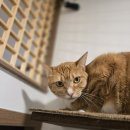 장기쉼터 앞 이미지