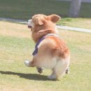 토실토실 Daum카페