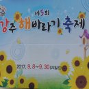 함안 강주 해바라기 축제. 이미지