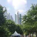 수원-0760 | 수원 영문 PCR 발급방법 (코로나시대 해외출장/여행방법)