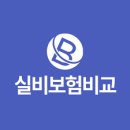 실비