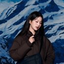 퍼피스타일 이미지