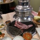 돼지나무사랑걸렸네