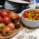 잔다리농장 이미지