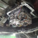 오토오아시스 메가마트 기장점 이미지