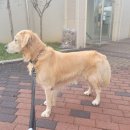 큰누나네집 이미지