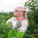 동서농장 이미지