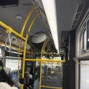 골든게이트 | [미국 서부] LA #19 샌프란시스코 타르틴 베이커리, 돌로레스 파크, 골든게이트 파크, 양싱 링컨점