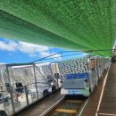 창렬농장 | 7월 제주 여행코스 제주레일바이크 가격 할인 예약 용눈이오름 솔직후기