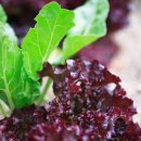 이뉴펜션 이미지