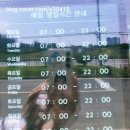 경종농장 | [단독] 조치원에 신상 스벅 방문후기 및 역사이슈를 풀어가는 자세.