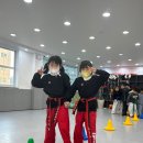 힘찬체육도장 이미지