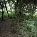 미성동-17 이미지