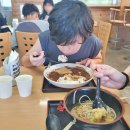 휴게소 카 부분정비 | 일본 휴게소 음식 먹거리 오사카 나고야 근교 고속도로 렌트카여행