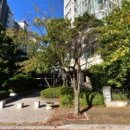 아이소리 어린이집 이미지