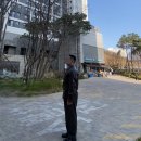 808빈티지