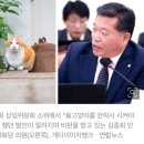 &#34;들고양이 백해무익..안락사해야&#34;SNS 발칵 뒤집은 국회의원 발언 이미지