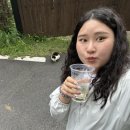 필우재뜰안 네이버블로그