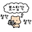 대경상회 이미지