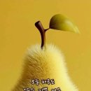 곡주