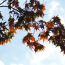 해다미펜션 이미지