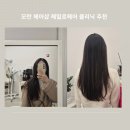 고양이묭실 | 모란 미용실 헤어클리닉 효과좋은 헤일로헤어 방문 솔직후기