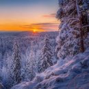 보한의원 | 사랑이 깨질 것 다들