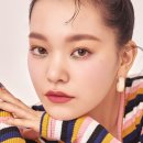 브릭샷