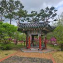 유당공원 내 비군 이미지