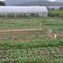 대원농장1 이미지