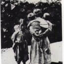 제주의 추억 이미지