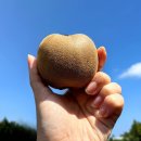 (주)네오게임즈 이미지