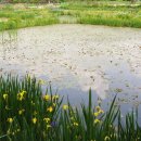 평화로운세상 이미지