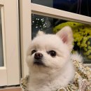 카페에드모어