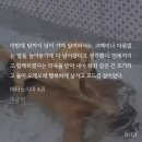 닳고닳은애가갈수록순진해지고순진한애가갈수록으웄… 메타ㅅㅍ ㅊㅎㅈㅇ 이미지