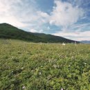 정기코스 이미지