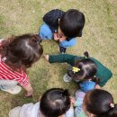 신천안어린이집 이미지