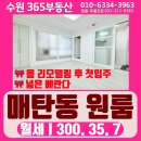 새마을부동산365공인중개사사무소 | (No.T221) [수원 매탄동] 원룸 월세(올리모델링 후 첫입주, 삼성사업장, 베란다 원룸, 300/35/7)