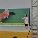 바이도로시평생교육원