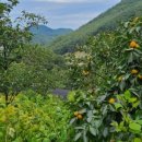 구룡부동산중개 이미지