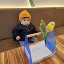 장유어린이집 | 김해 장유 돌아기랑 실내이색체험 앵무새카페 먹이주기 &#39;리프패럿&#39;