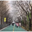송정제방 이미지