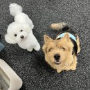 그레이닝 킨더가든 이미지