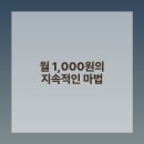 뜻밖의 발견 이미지