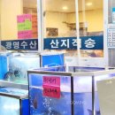 아도수산 | 서울 신도림역 가성비 고등어회 맛집 광명수산 테크노마트점 내돈내산
