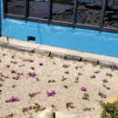 홍농서초등학교 이미지