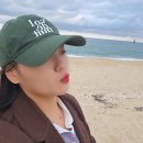 유성홈플러스 택시대기소 | 2025 가을 술쟁이와 함께한 2박3일 강릉여행 마지막